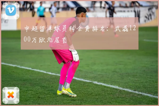 中超留洋球员转会费排名：武磊1200万欧元居首